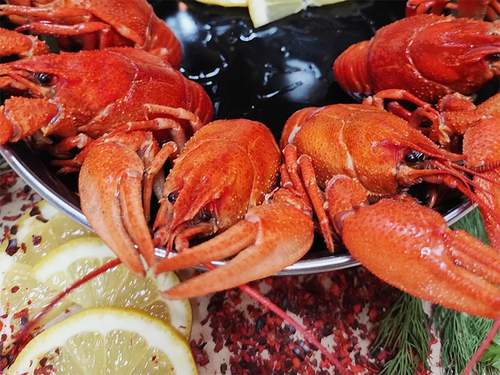 Крупный Раки вареные