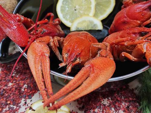 Элитный Раки вареные