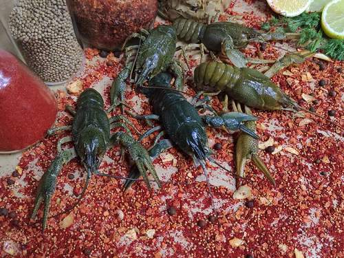 Отборный раки живые