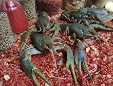 Элитный раки живые